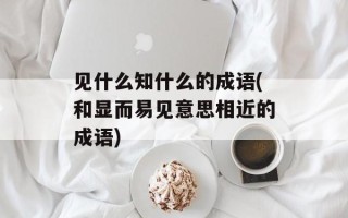 见什么知什么的成语(和显而易见意思相近的成语)
