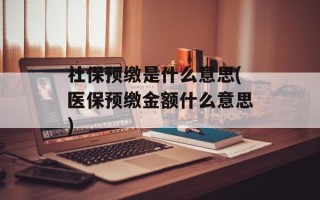 社保预缴是什么意思(医保预缴金额什么意思)