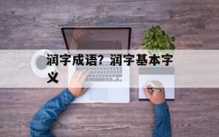 润字成语？润字基本字义