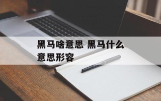 黑马啥意思 黑马什么意思形容