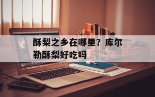 酥梨之乡在哪里？库尔勒酥梨好吃吗