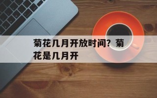 菊花几月开放时间？菊花是几月开