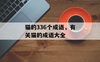 猫的336个成语，有关猫的成语大全