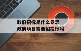 政府招标是什么意思 政府项目需要招投标吗
