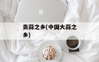 贡蒜之乡(中国大蒜之乡)
