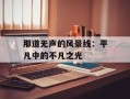 那道无声的风景线：平凡中的不凡之光