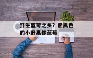 野生蓝莓之乡？紫黑色的小野果像蓝莓