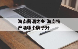 海南酱酒之乡 海南特产酒哪个牌子好