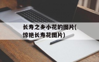 长寿之乡小花的图片(惊艳长寿花图片)