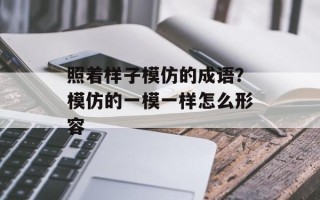 照着样子模仿的成语？模仿的一模一样怎么形容