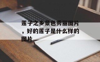 莲子之乡景色秀丽图片，好的莲子是什么样的图片