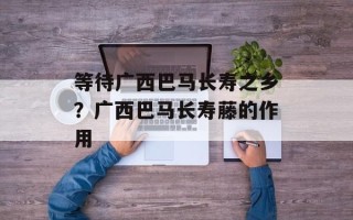 等待广西巴马长寿之乡？广西巴马长寿藤的作用