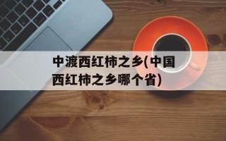中渡西红柿之乡(中国西红柿之乡哪个省)