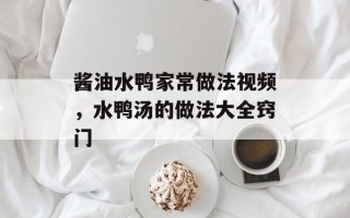 酱油水鸭家常做法视频，水鸭汤的做法大全窍门