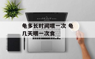 龟多长时间喂一次 龟几天喂一次食