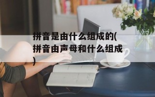 拼音是由什么组成的(拼音由声母和什么组成)