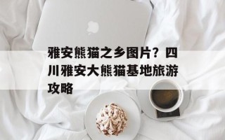 雅安熊猫之乡图片？四川雅安大熊猫基地旅游攻略