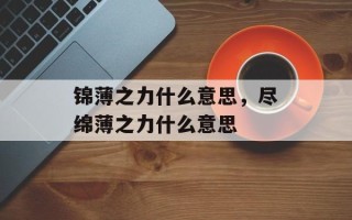 锦薄之力什么意思，尽绵薄之力什么意思