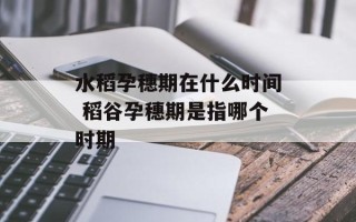 水稻孕穗期在什么时间 稻谷孕穗期是指哪个时期