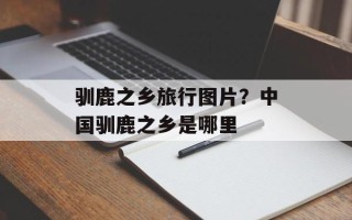 驯鹿之乡旅行图片？中国驯鹿之乡是哪里
