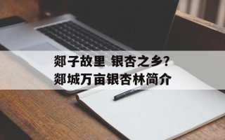 郯子故里 银杏之乡？郯城万亩银杏林简介