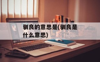 驯良的意思是(驯良是什么意思)