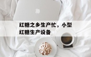 红糖之乡生产忙，小型红糖生产设备