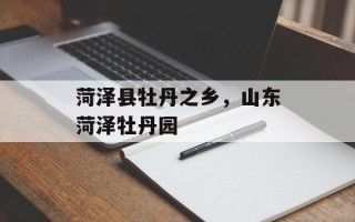 菏泽县牡丹之乡，山东菏泽牡丹园