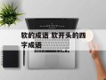 软的成语 软开头的四字成语
