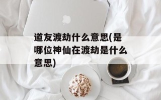 道友渡劫什么意思(是哪位神仙在渡劫是什么意思)
