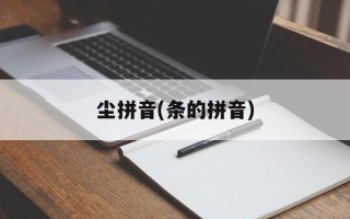 尘拼音(条的拼音)