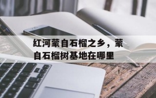 红河蒙自石榴之乡，蒙自石榴树基地在哪里