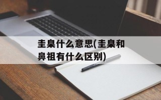 圭臬什么意思(圭臬和鼻祖有什么区别)