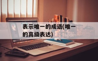 表示唯一的成语(唯一的高级表达)