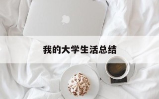我的大学生活总结