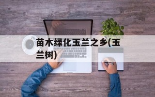 苗木绿化玉兰之乡(玉兰树)