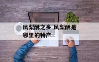 凤梨酥之乡 凤梨酥是哪里的特产