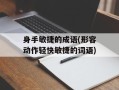 身手敏捷的成语(形容动作轻快敏捷的词语)
