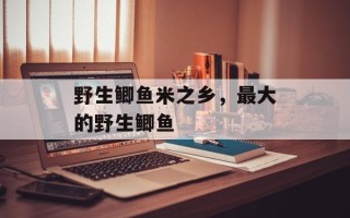 野生鲫鱼米之乡，最大的野生鲫鱼