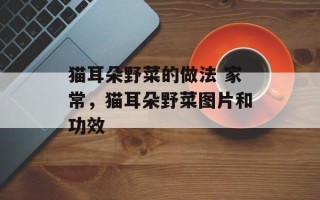 猫耳朵野菜的做法 家常，猫耳朵野菜图片和功效