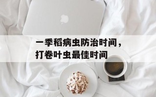 一季稻病虫防治时间，打卷叶虫最佳时间