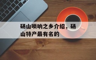 砀山唢呐之乡介绍，砀山特产最有名的