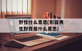 野性什么意思(形容男生野性是什么意思)