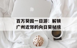 百万葵园一日游：解锁广州近郊的向日葵秘境