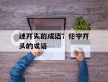 迷开头的成语？招字开头的成语