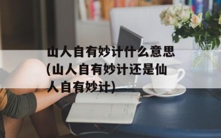 山人自有妙计什么意思(山人自有妙计还是仙人自有妙计)