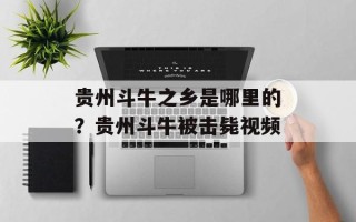 贵州斗牛之乡是哪里的？贵州斗牛被击毙视频