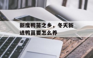 新度鸭苗之乡，冬天新进鸭苗要怎么养