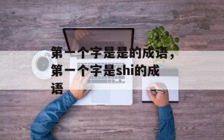 第一个字是是的成语，第一个字是shi的成语