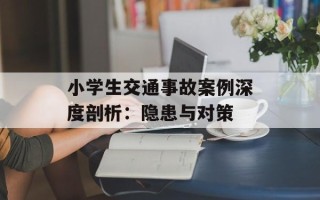 小学生交通事故案例深度剖析：隐患与对策
